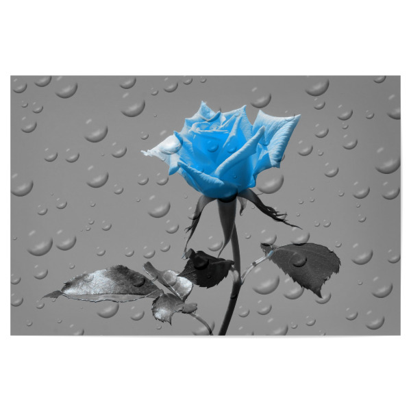 Poster 30x20 cm "Rosen Tropfen blau ck" artboxONE - Floral,Abstrakt,Schwarzweiß,Liebe