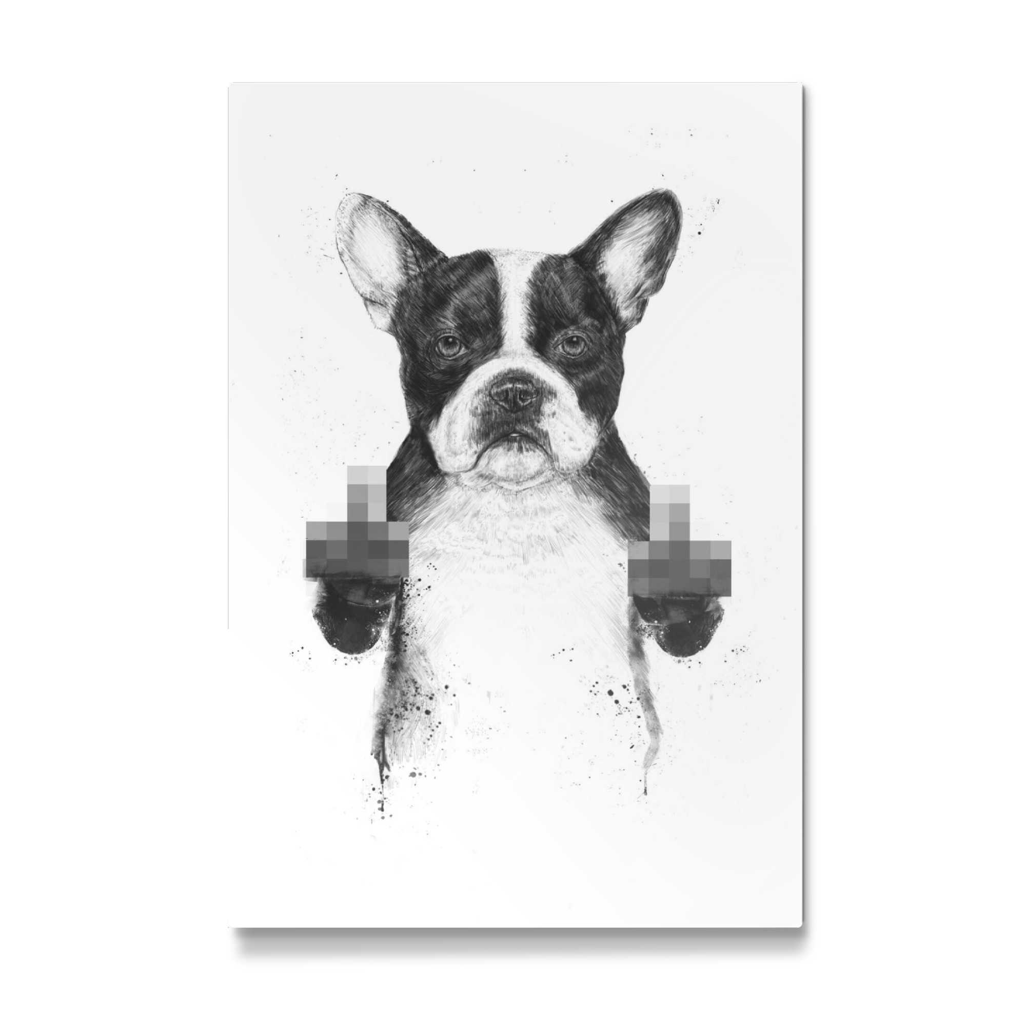 Galerie-Print "Censored dog" 75x50 cm artboxONE