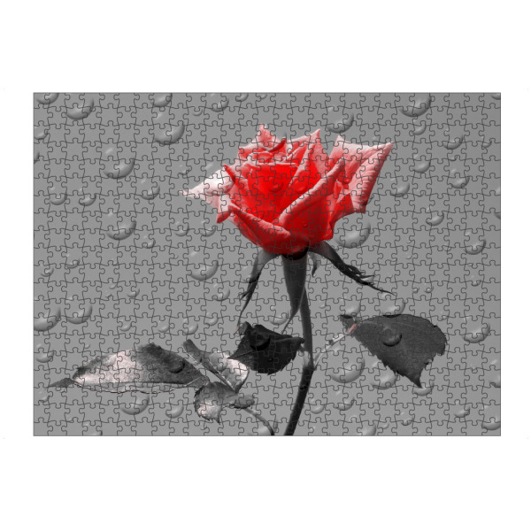 Puzzle Ravensburger "Rosen Tropfen rot ck" artboxONE - Floral,Abstrakt,Schwarzweiß,Liebe