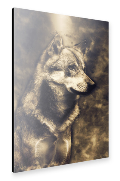 Alu-Dibond "Sitting Wolf (matart)" 30x20 cm artboxONE