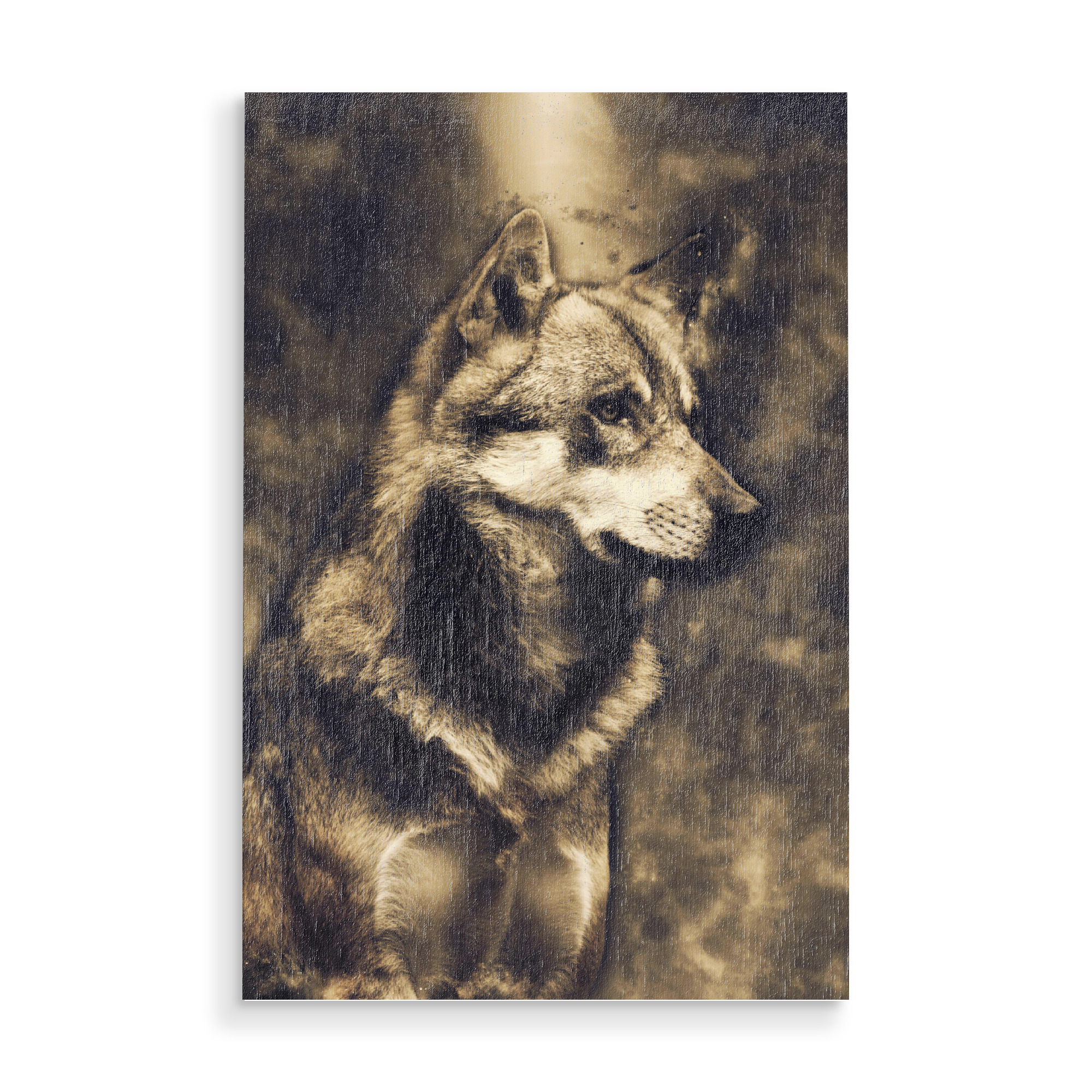 Holzbild "Sitting Wolf (matart)" artboxONE - Natur,Tiere - Wolf,Animal,Nature,Forest,Wild,Alone,Tier,Natur