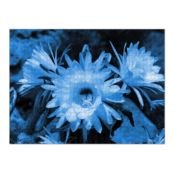 Puzzle Ravensburger "Kaktus Blüten classic blue" artboxONE - Natur,Floral,Abstrakt