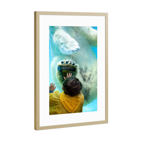 Poster mit Rahmen Gold "Kontakt" artboxONE - Natur,Tiere,Menschen,Unterwasser