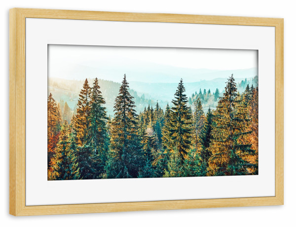 Poster mit Rahmen kiefer "Pine Beauty" artboxONE - Natur