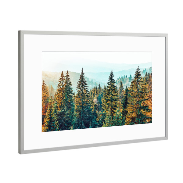 Poster mit Rahmen Silber "Pine Beauty" artboxONE - Natur