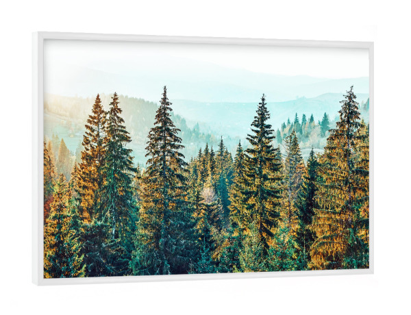 Poster mit weißem Rahmen "Pine Beauty" artboxONE - Natur
