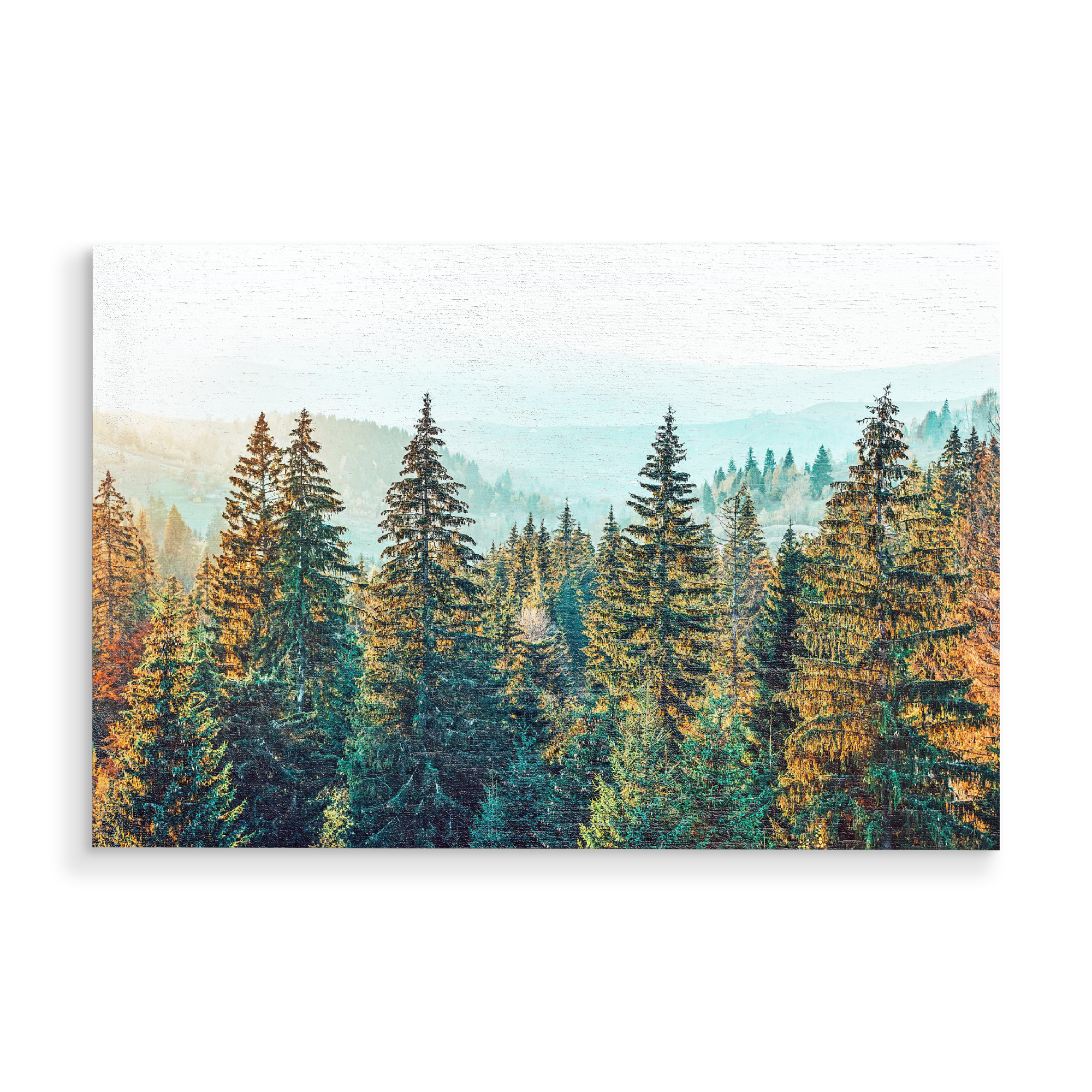 Holzbild "Pine Beauty" artboxONE - Natur