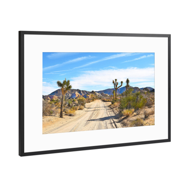 Poster mit Rahmen Schwarz (Metallic) "Joshua Tree-II" artboxONE - Natur