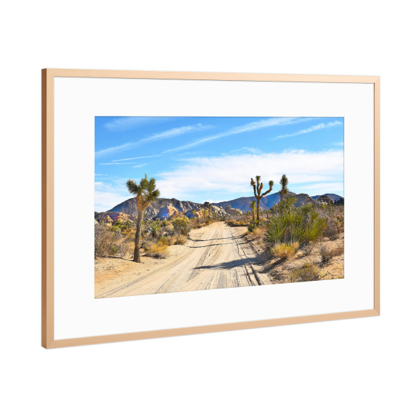 Poster mit Rahmen Kupfer "Joshua Tree-II" artboxONE - Natur