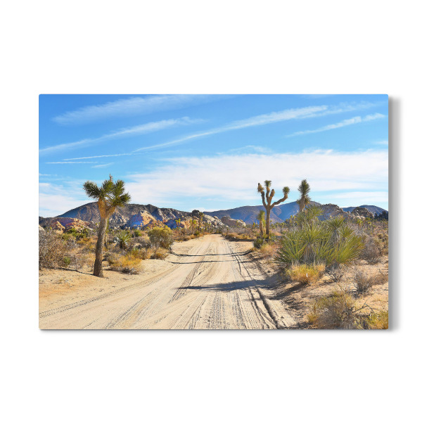 Galerie-Print "Joshua Tree-II" 30x20 cm artboxONE