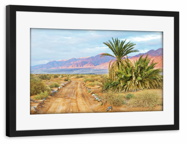 Poster mit Rahmen schwarz "Joshua Tree Nature" artboxONE - Natur