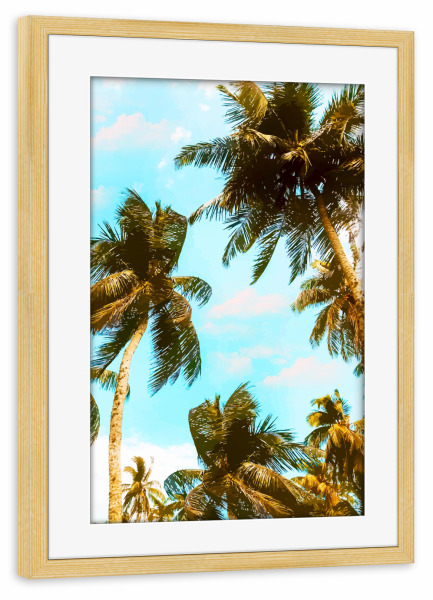 Poster mit Rahmen kiefer "Cali Summer" artboxONE - Natur