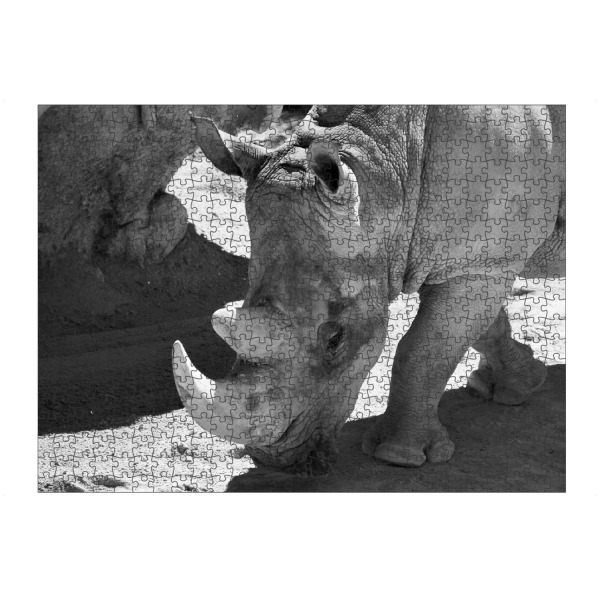 Puzzle Ravensburger "Nashorn Gesicht" artboxONE - Natur,Tiere,Schwarzweiß,Reise / Afrika