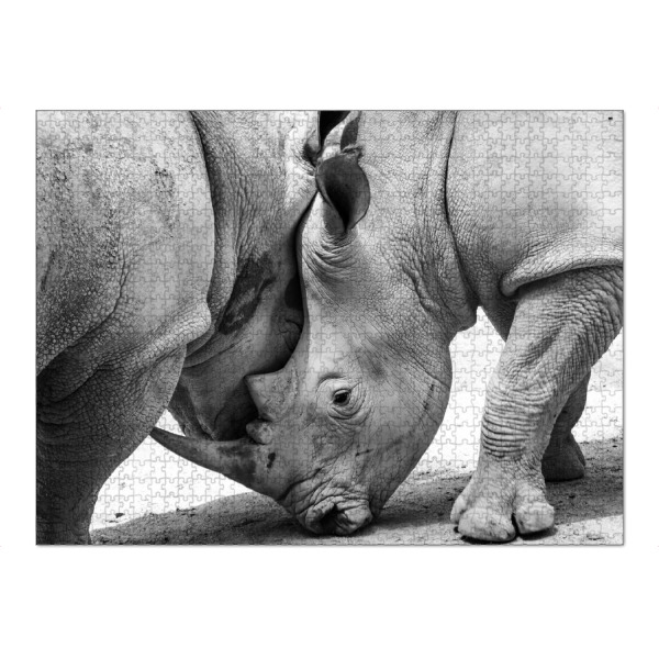 Puzzle Ravensburger "Nashorn Freunde" artboxONE - Natur,Tiere,Schwarzweiß,Reise / Afrika