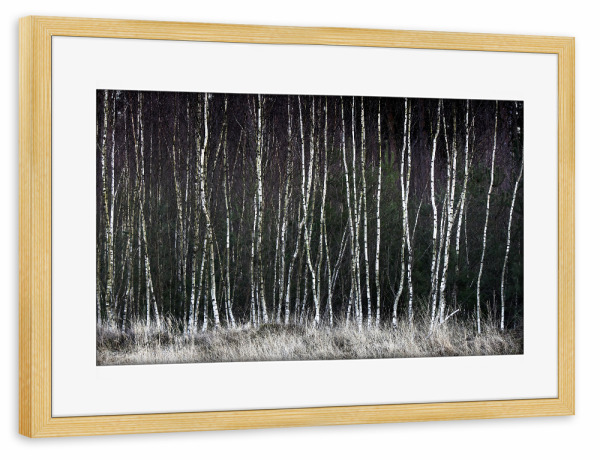 Poster mit Rahmen kiefer "Pioniere" artboxONE - Natur