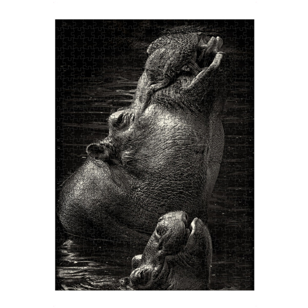 artboxONE Puzzle "Happy Hippos" artboxONE - Natur,Tiere,Schwarzweiß