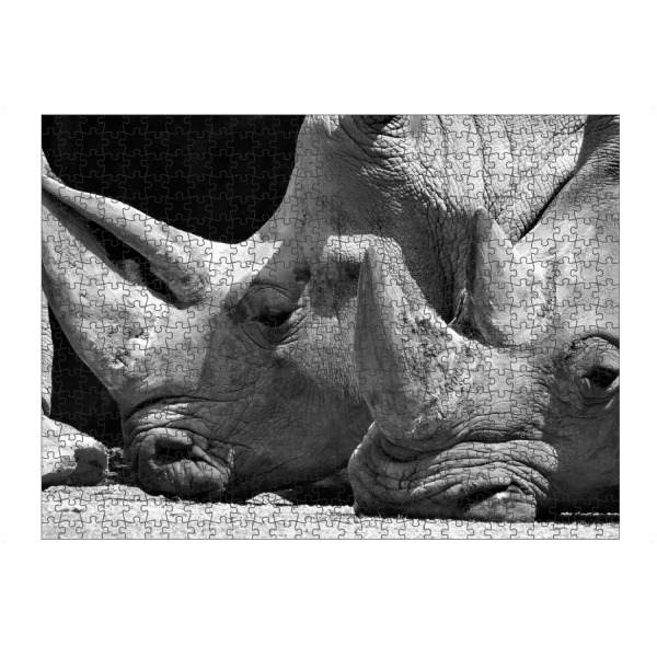 Puzzle Ravensburger "Nashorn Pause" artboxONE - Natur,Tiere,Schwarzweiß,Reise / Afrika