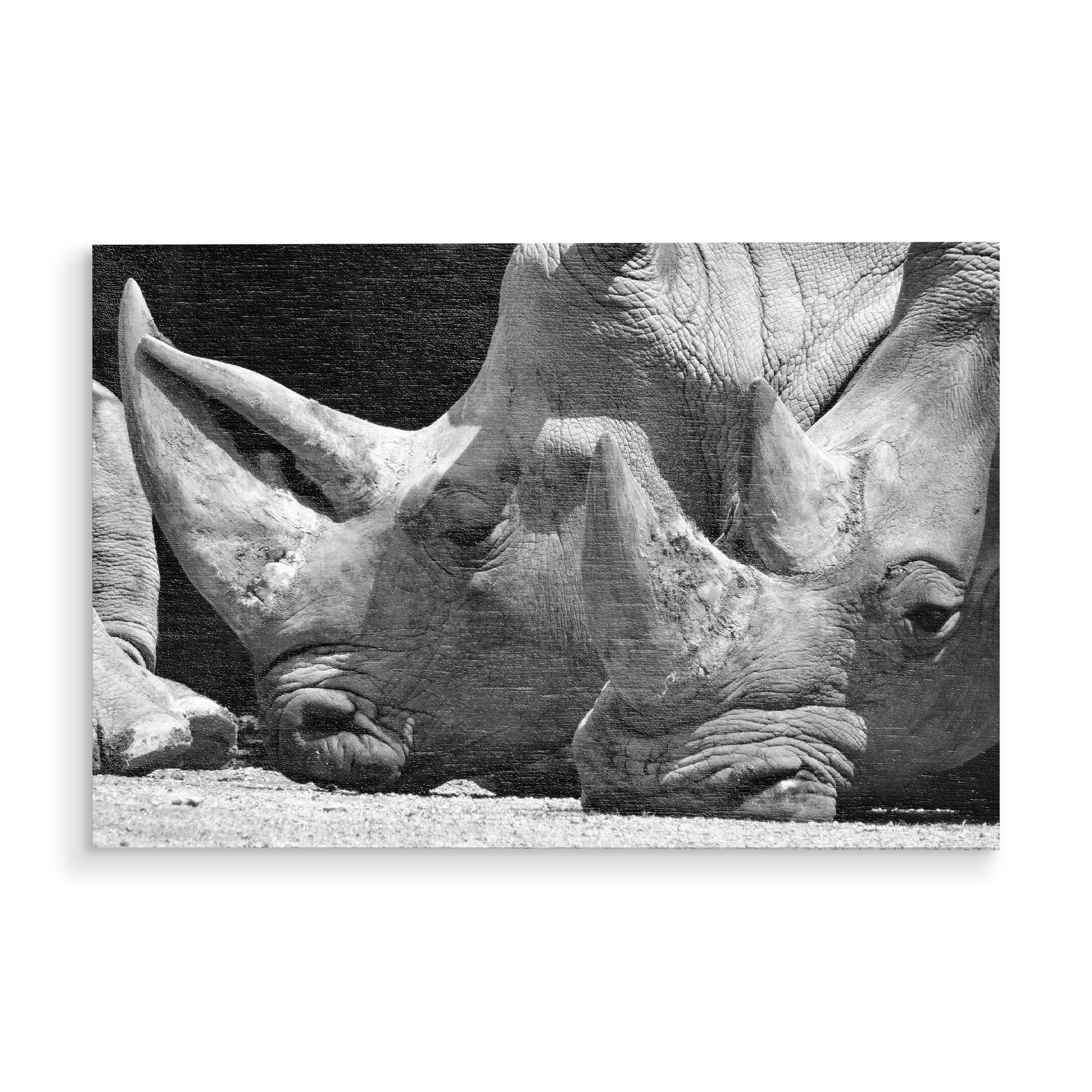 Holzbild "Nashorn Pause" artboxONE - Natur,Tiere,Schwarzweiß,Reise / Afrika