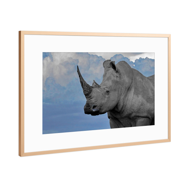 Poster mit Rahmen Kupfer "Breitmaul Nashorn ck" artboxONE - Tiere,Abstrakt,Reise / Afrika