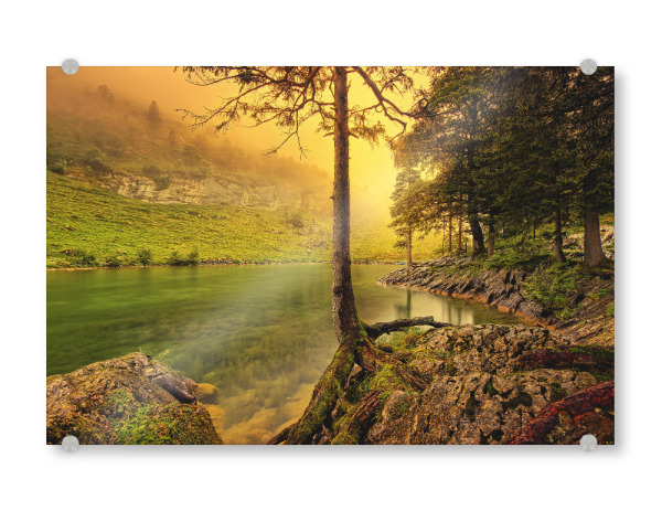 Acrylglasbild "Yellow Light" artboxONE - Natur,Reise - Landscape,Mood,Fog,Foggy,Moody,Lake,See,Nebel,Water,Natur,Licht,Sun,Landschaft,Nature,Forest