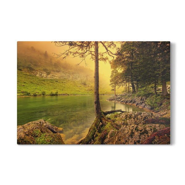 Galerie-Print "Yellow Light" 30x20 cm artboxONE