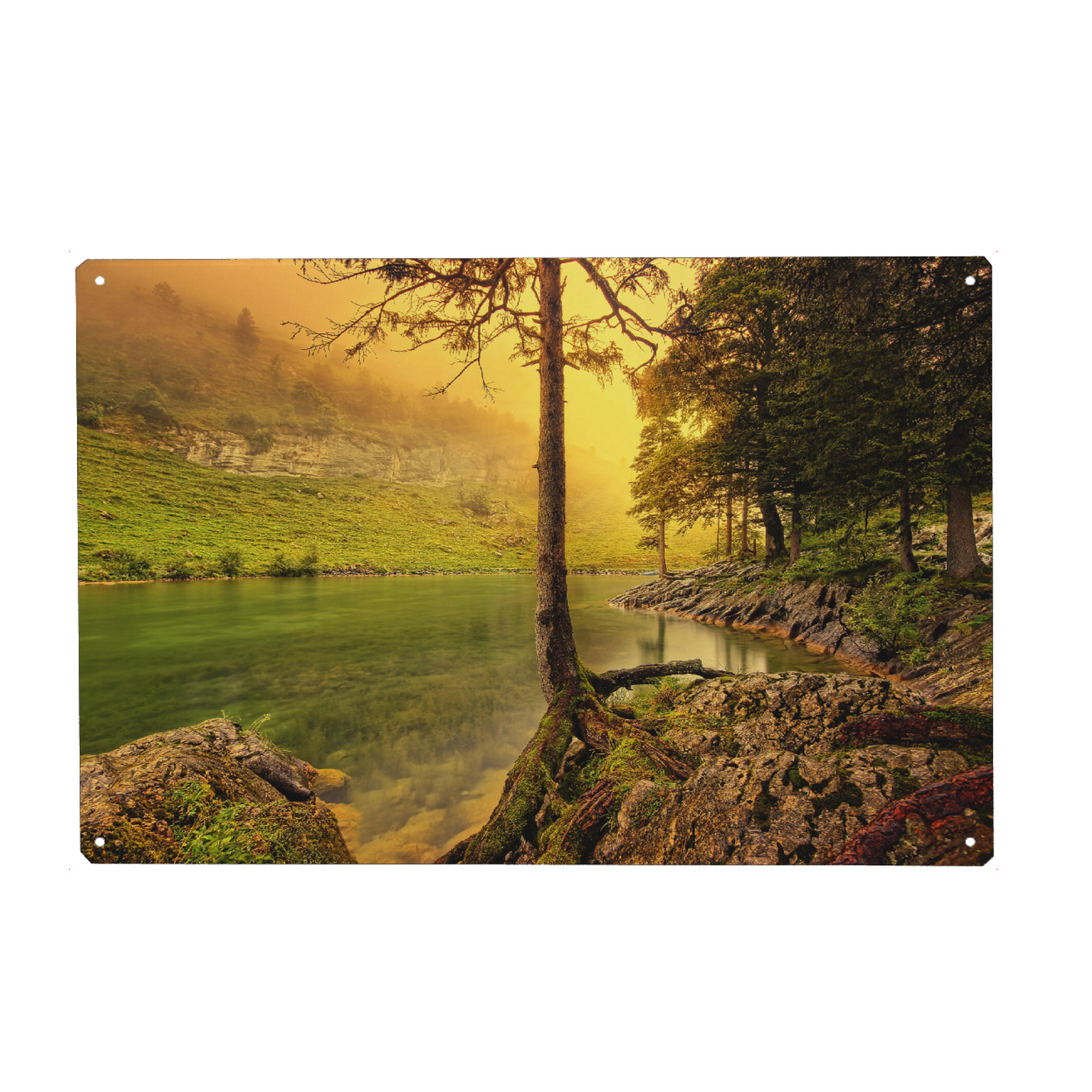 Metall Poster "Yellow Light" artboxONE - Natur,Reise - Landscape,Mood,Fog,Foggy,Moody,Lake,See,Nebel,Water,Natur,Licht,Sun,Landschaft,Nature,Forest