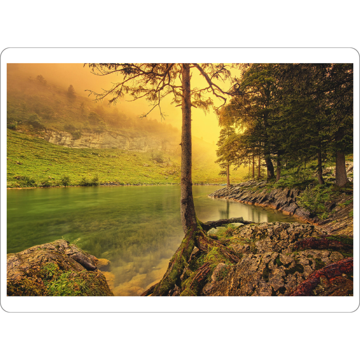Tischset "Yellow Light" artboxONE - Natur,Reise - Landscape,Mood,Fog,Foggy,Moody,Lake,See,Nebel,Water,Natur,Licht,Sun,Landschaft,Nature,Forest