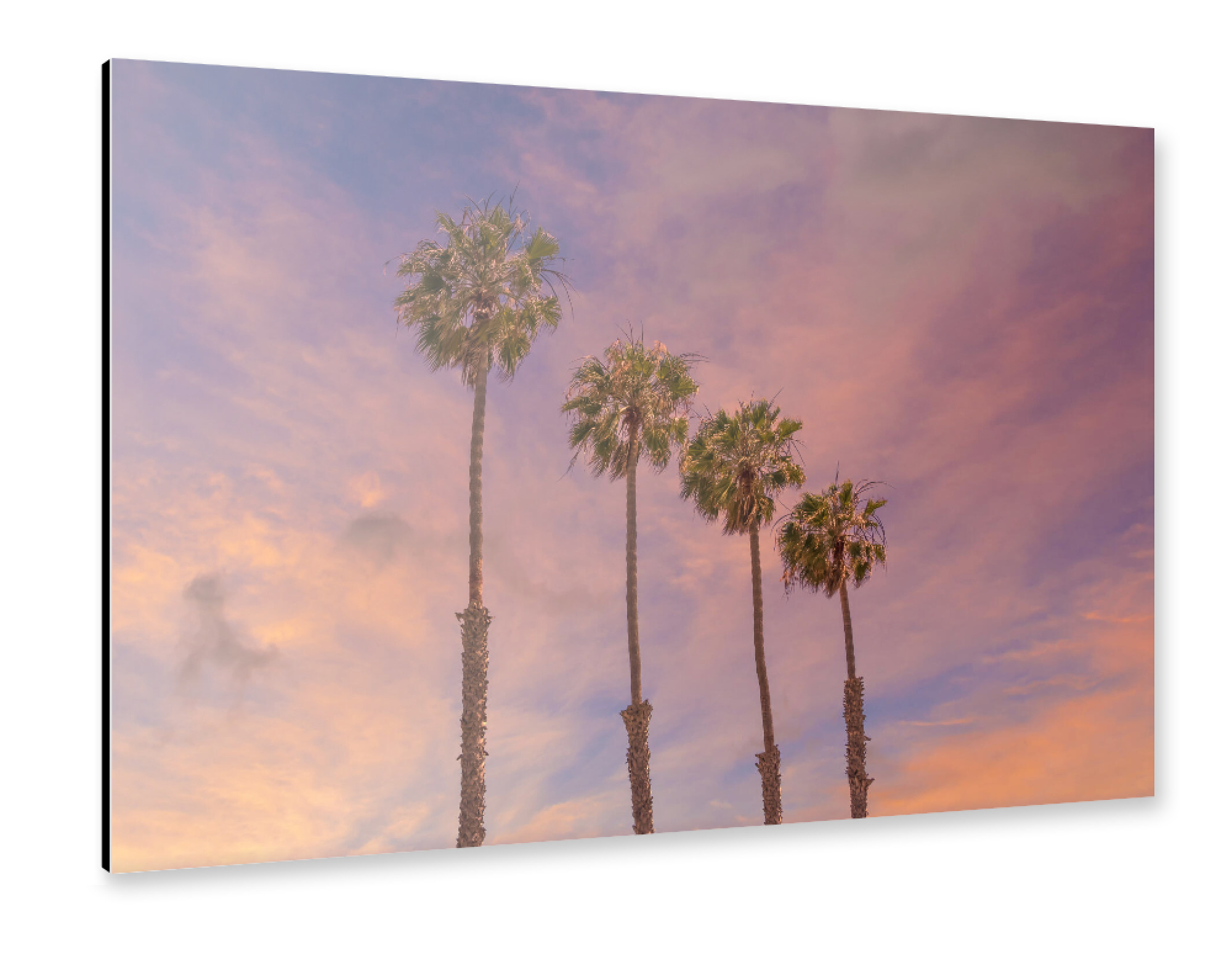 Alu-Dibond "Sonnenuntergang mit Palmen" 75x50 cm artboxONE