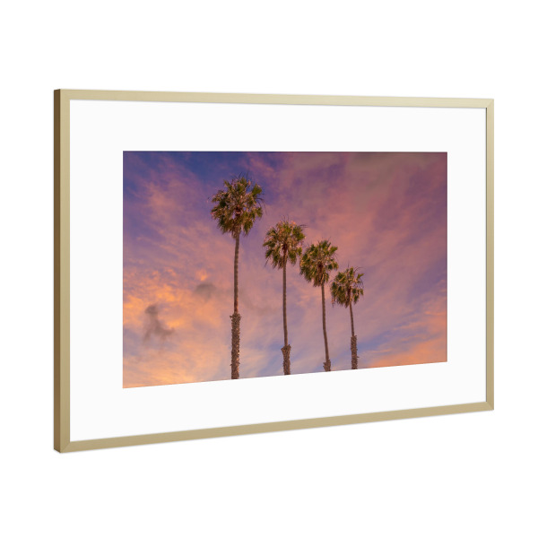 Poster mit Rahmen Gold "Sonnenuntergang mit Palmen" artboxONE - Natur,Reise / Strand und Meer