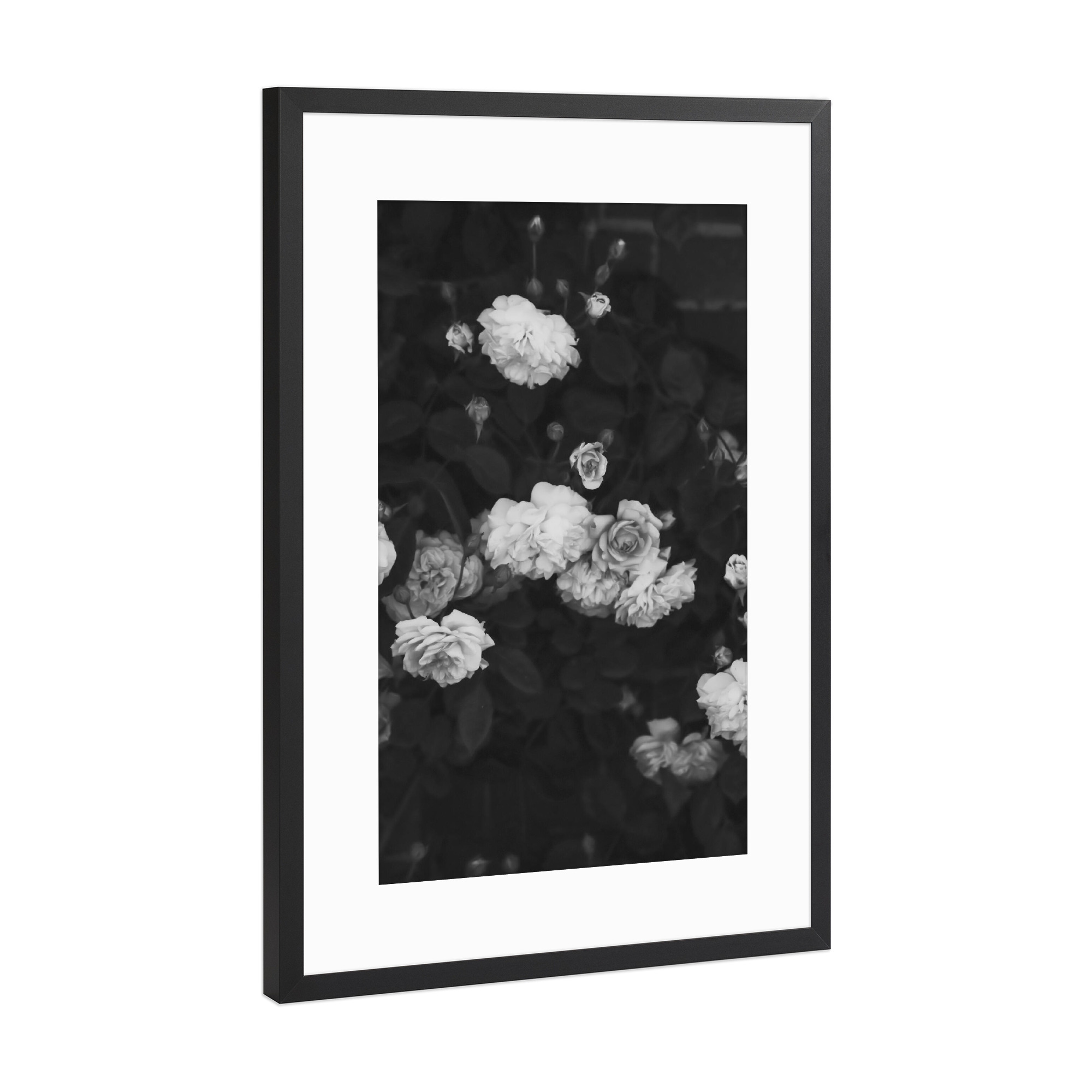 Poster mit Rahmen Schwarz (Metallic) "Black and White Roses" artboxONE - Natur,Floral,Schwarzweiß