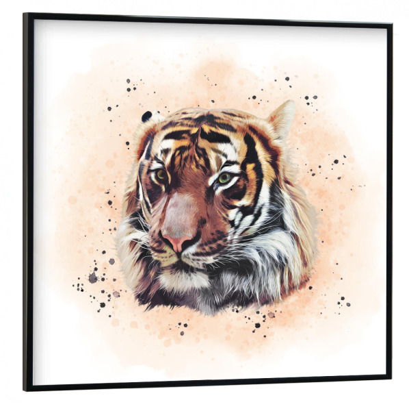 Poster mit schwarzem Rahmen 30x30 cm "The Tiger Portrait" artboxONE - Natur,Tiere