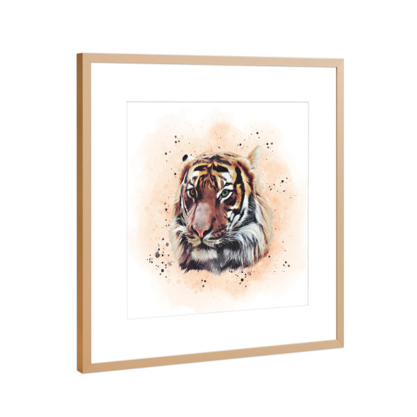Poster mit Rahmen Kupfer "The Tiger Portrait" artboxONE - Natur,Tiere