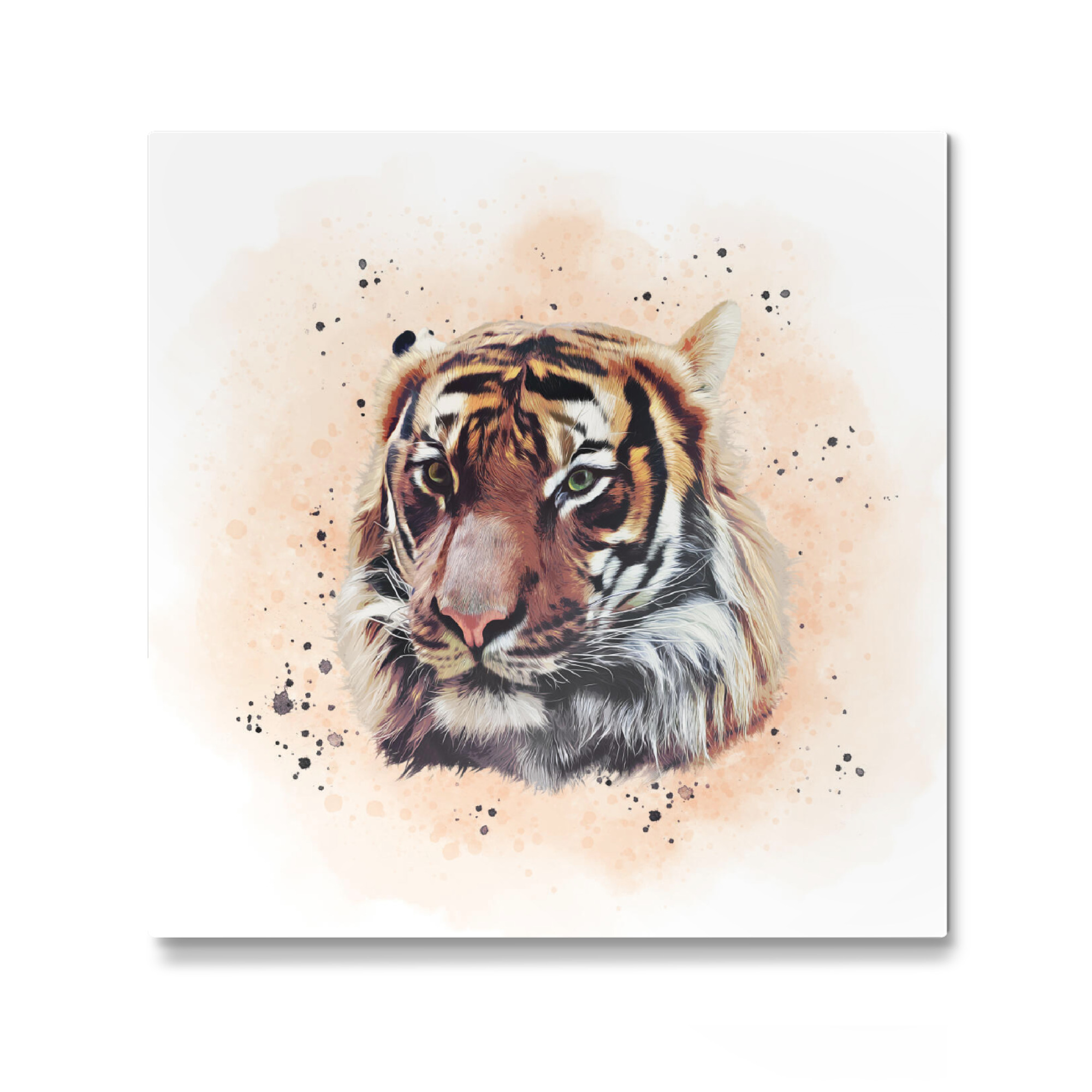 Galerie-Print "The Tiger Portrait" 30x30 cm artboxONE
