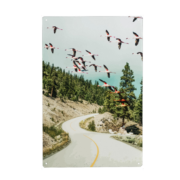 Metall Poster "Flamingo Flight" artboxONE - Natur,Tiere