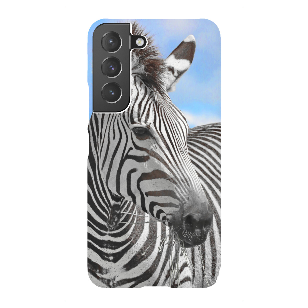 "Zebra Portrait ck"für Samsung Galaxy - Premium-Case Handyhülle artboxONE