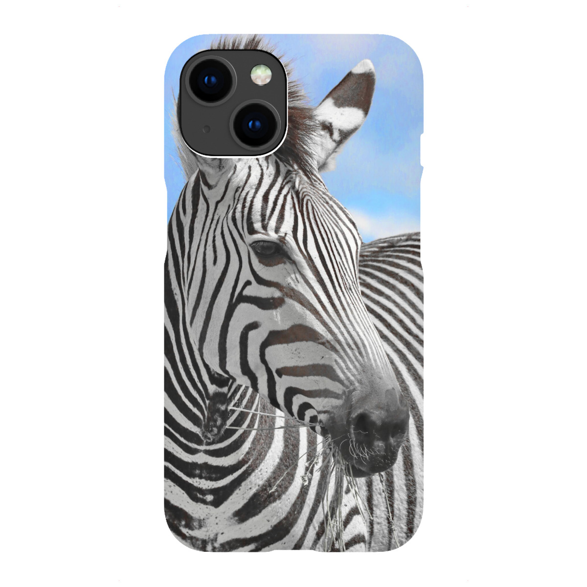 iPhone "Zebra Portrait ck" Premium-Case Handyhülle artboxONE