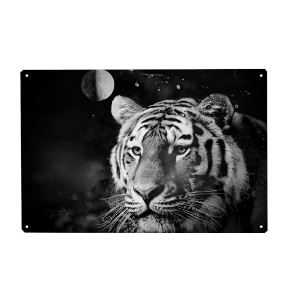Holzbild "Tiger Universum" artboxONE - Natur,Tiere,Abstrakt,Schwarzweiß,Galaxy