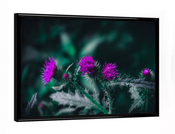 Poster mit schwarzem Rahmen "Distelblüte" artboxONE - Natur,Floral - Grün,Distel,Bluete,Lila,Makro,Moody,Flower,Closeup,Nature,Natur,Floral,Blumen