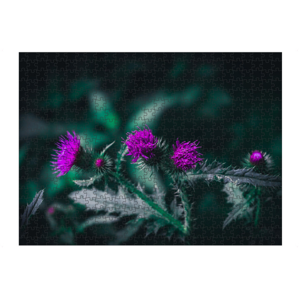 Puzzle Ravensburger "Distelblüte" artboxONE - Natur,Floral - Grün,Distel,Bluete,Lila,Makro,Moody,Flower,Closeup,Nature,Natur,Floral,Blumen