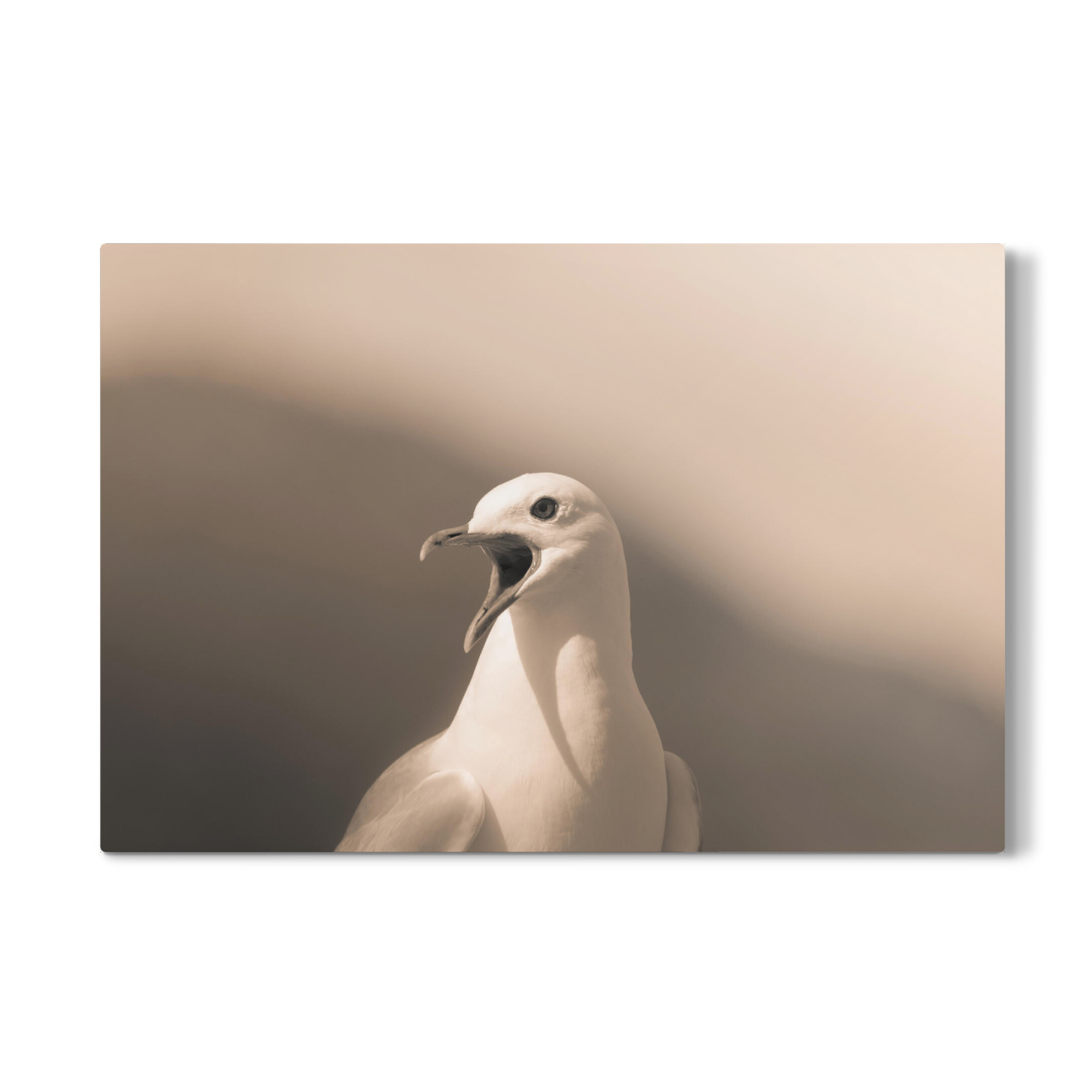 Galerie-Print "Listen to me!" 30x20 cm artboxONE
