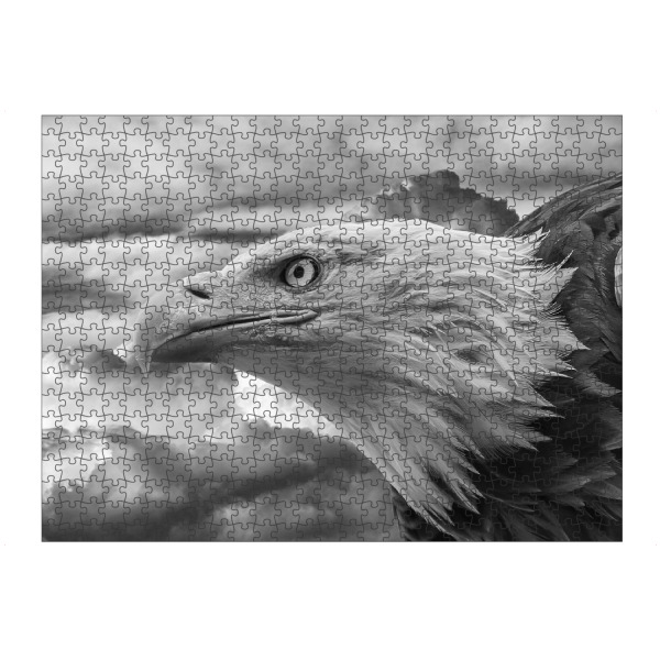 artboxONE Puzzle "Seeadler" artboxONE - Natur,Tiere,Schwarzweiß