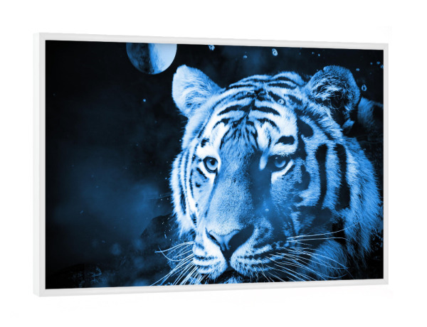 Poster mit weißem Rahmen "Tiger classic blue" artboxONE - Natur,Tiere,Galaxy