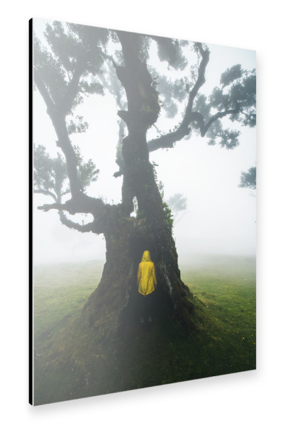 Alu-Dibond "Hide in the Tree" 30x20 cm artboxONE
