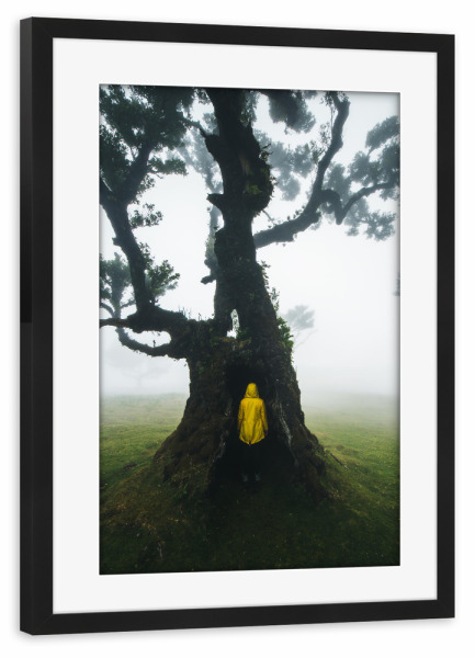 Poster mit Rahmen schwarz "Hide in the Tree" artboxONE - Natur,Reise,Menschen