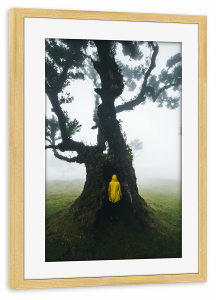 Poster mit Rahmen kiefer "Hide in the Tree" artboxONE - Natur,Reise,Menschen