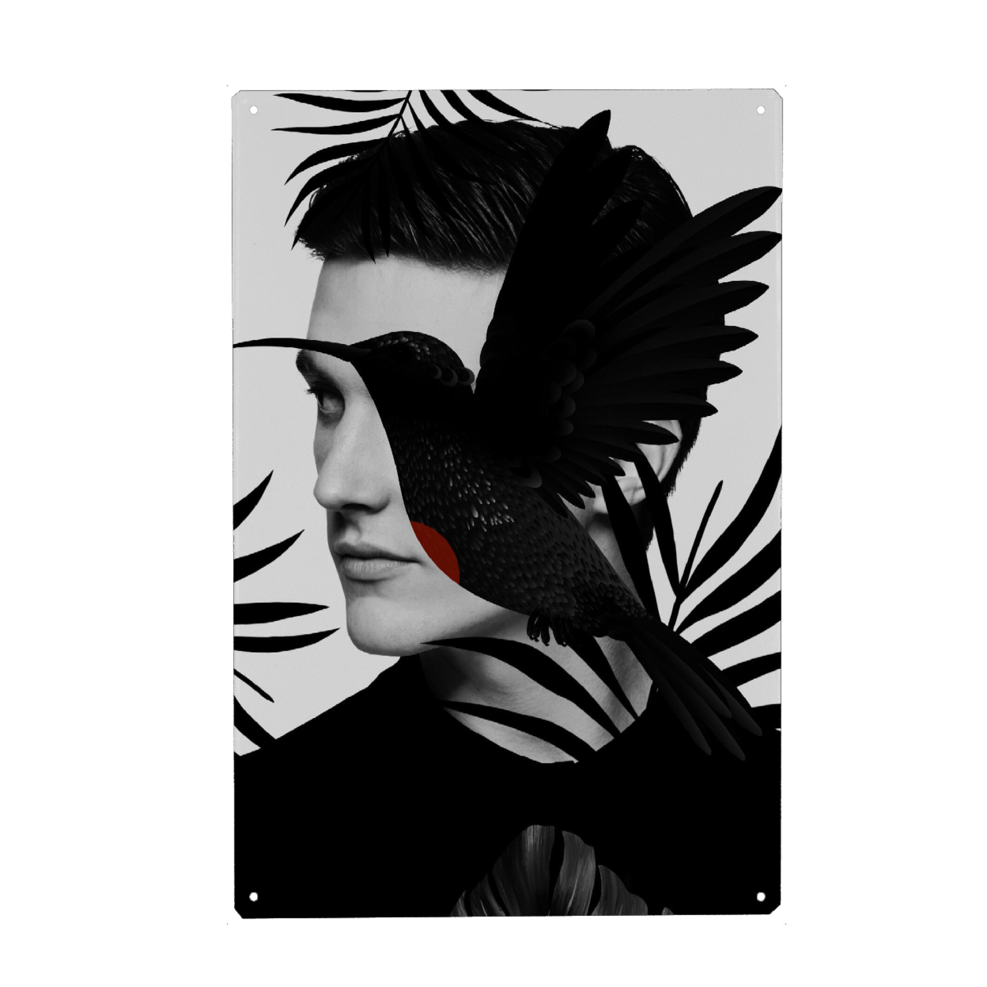 Metall Poster "Man Black Bird" artboxONE - Natur,Floral,Tiere,Männer