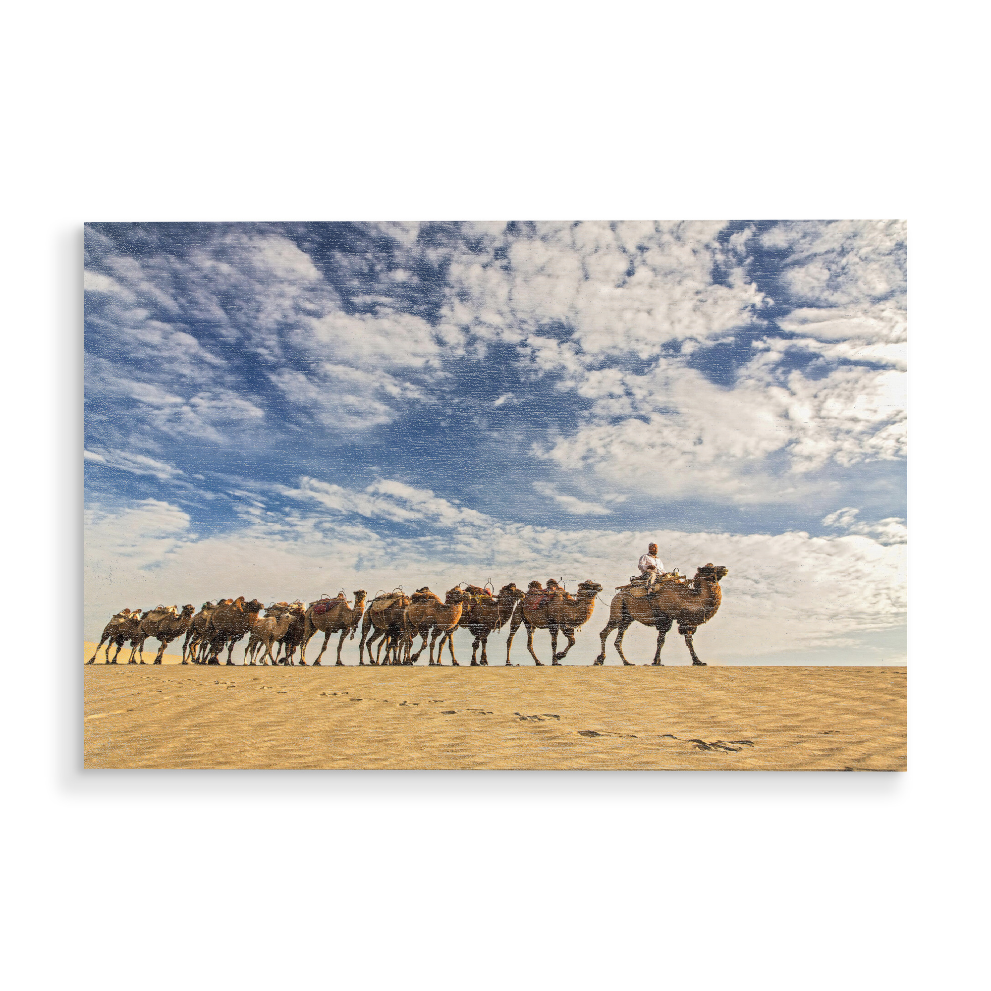 Holzbild "Gleichschritt" artboxONE - Natur,Reise / Asien,Reise / Länder