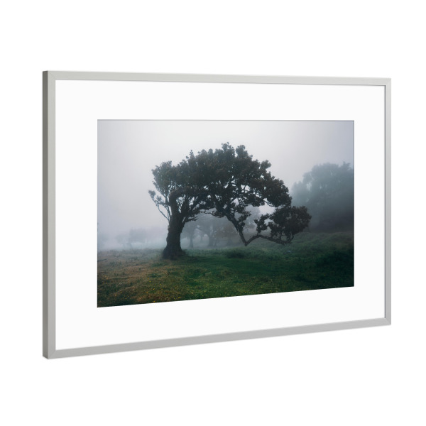 Poster mit Rahmen Silber "Forest to have my silence" artboxONE - Natur