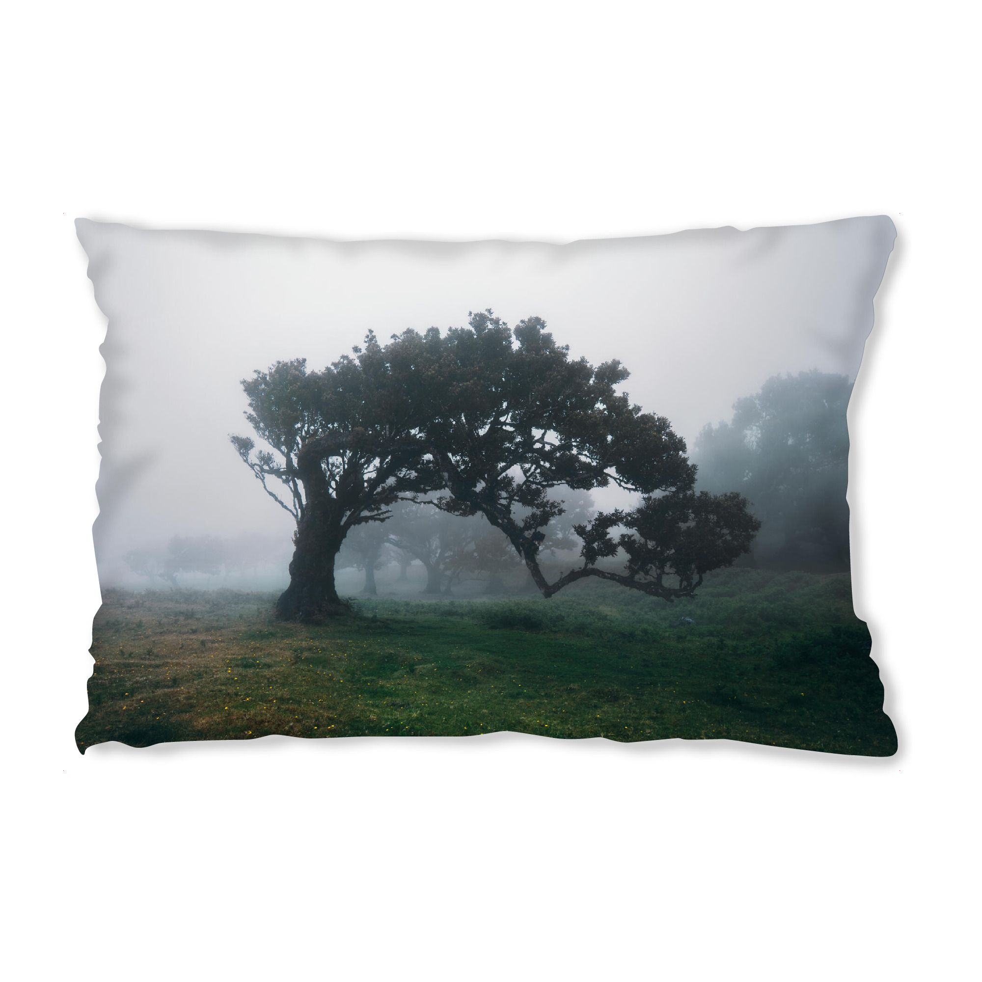 Design-Kissen "Forest to have my silence" artboxONE - Natur