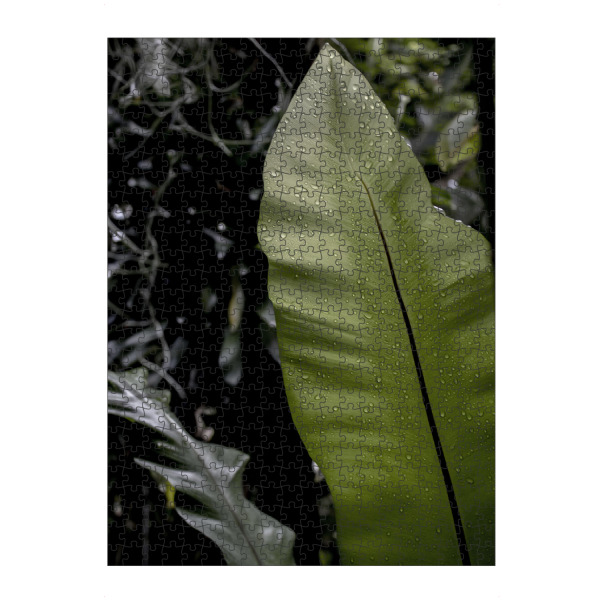 artboxONE Puzzle "Green foliage with drops" artboxONE - Natur,Reise,Floral